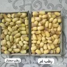 رطب اخلاص و غر ورطب مجناز الاحساء من مزرعتنا