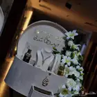 عربية ملكة توزيعات استقبال