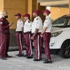 شركة حراسة أمنية