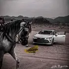 توصيل من الطائف الى الرياض والدمام