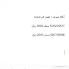 أرقام مميزه مئوي   مئوي في البدايه
