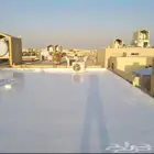 ترويب وعزل أسطح