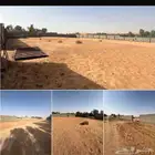 حوش مسور للأيجار مساحة 2300