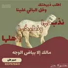 ذبايح اقصاد تابي تمارا مع التوصيل