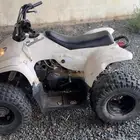 دباب