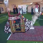 تاجير خيول ونياق وخيام