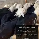 نعيم وحريات ونجدي موقعنا الدمام استلام من المزرعه او توصيل