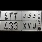 لوحة للبيع ( و ي ص 433 )