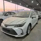 كورولا 2025 اصفار