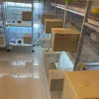 اجوز روز للبيع منتجه