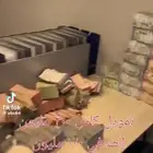 تقرير سمه 730 وفوق نخلصك خلال 24 س