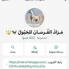 من يرغب في الانضمام في القروب مزاد لبيع وشراء الخيول واتساب