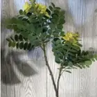 اغصان زيتون بلاستيكية   اغصان أكاسيا بلاستيكية