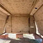 شد شاص من عروق الشمال