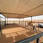 مظلات أبل