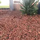 متجر بطحاء طابه الحمراء للحدايق والممرات والمخيمات