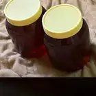 عسل سدر