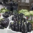 توريد خضار توصيل طلبات خضار