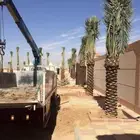 قسم النخيل والشجر ونباتات حديثة