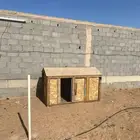 رومي 2 صندوق دجاج