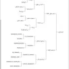 حصان مربط