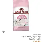 اكل للقطط للبييع