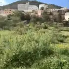 رحلات استجمام بمدينة النماص وفرصه للكسب المادي لمن اراد