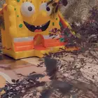 تأجير  دي جي  حفلة