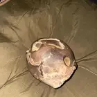 حجر شكل غريب وحلو