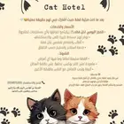 فندقه قطط