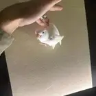 فرخ روز هدد