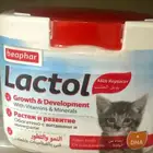 حليب قطط
