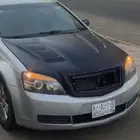 كبوت قفاري للبيع