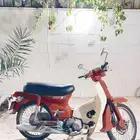 دباب هوندا 70 للبيع