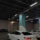 كادينزا 2017