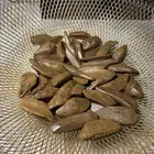 عود موروكي محسن