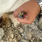 كيبل كهرباء 25 ملي