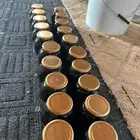 عسل طلح حايل