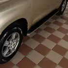 جنوط سكويا