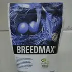 بريد ماكس للطيور