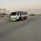 دينا 2016