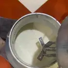 لبن غنم طبيعي كل يوم