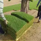 عشب طبيعي وصناعي