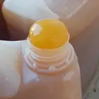 عسل اصلي 100