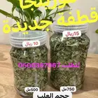 مورينجا وحبق ونعناع