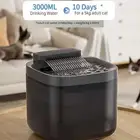 نافوره للقطط