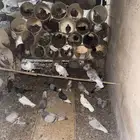 حمام للبيع جمع الانواع صح شرط البيع جمله لاعلى سومه