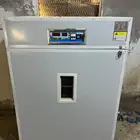 تاجير تفقيص فقاسات