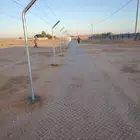 توريدوتركيب الشبوك