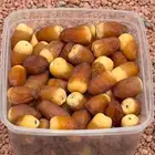رطب ومناصيف تمور حائل